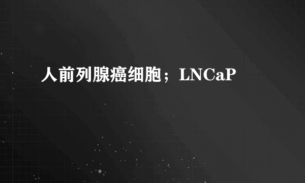 人前列腺癌细胞；LNCaP