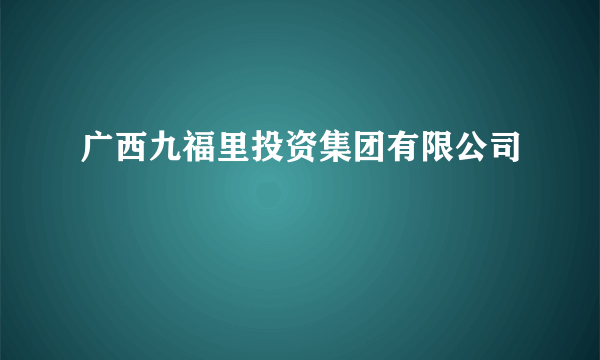 广西九福里投资集团有限公司