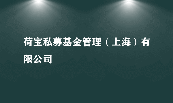 荷宝私募基金管理（上海）有限公司