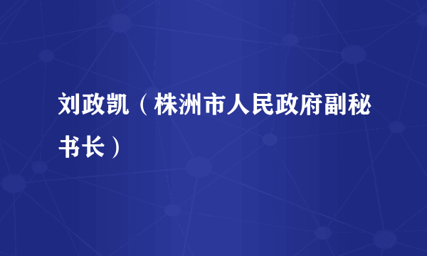 刘政凯（株洲市人民政府副秘书长）