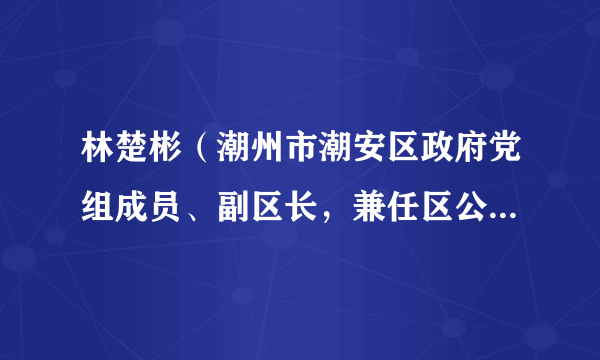 林楚彬（潮州市潮安区政府党组成员、副区长，兼任区公安分局局长）