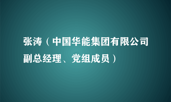 张涛（中国华能集团有限公司副总经理、党组成员）