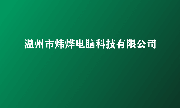 温州市炜烨电脑科技有限公司