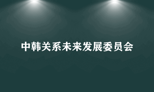 中韩关系未来发展委员会