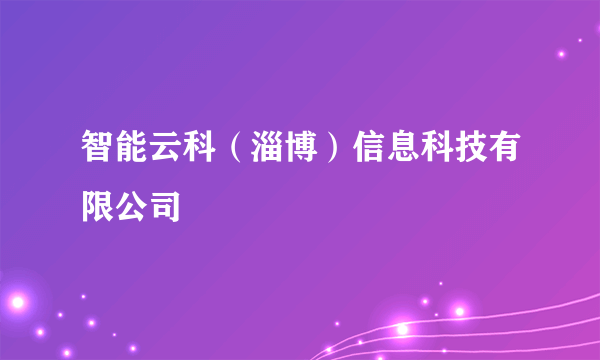 智能云科（淄博）信息科技有限公司