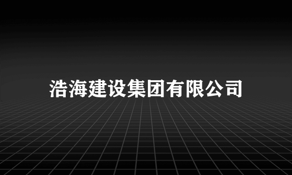 浩海建设集团有限公司