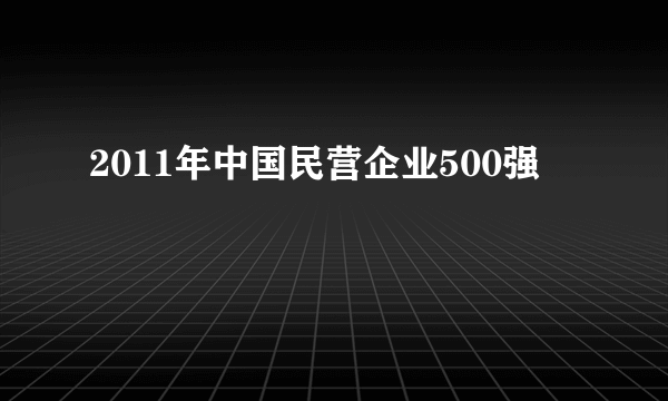 2011年中国民营企业500强