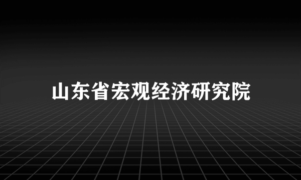 山东省宏观经济研究院