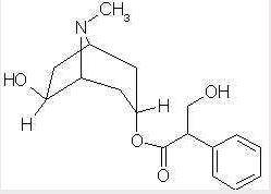左旋山莨菪碱