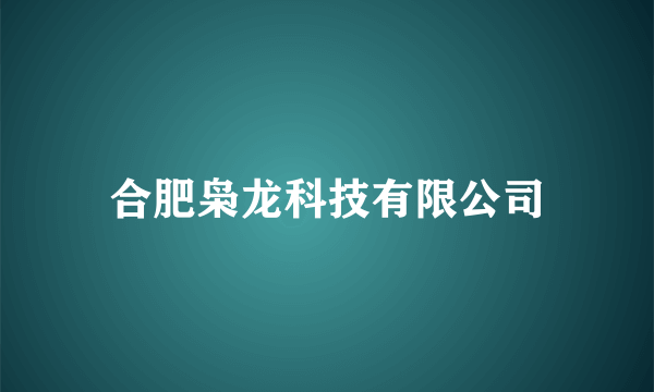 合肥枭龙科技有限公司