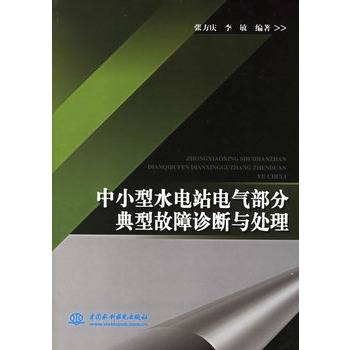 中小型水电站电气部分典型故障诊断与处理