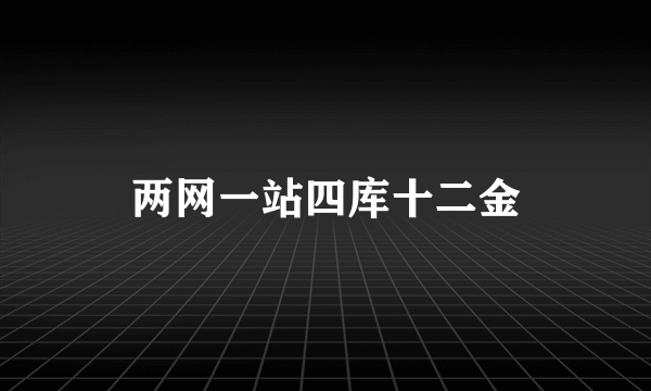 两网一站四库十二金