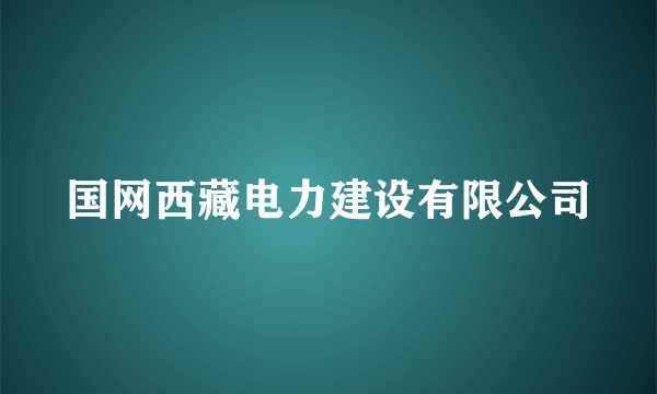 国网西藏电力建设有限公司