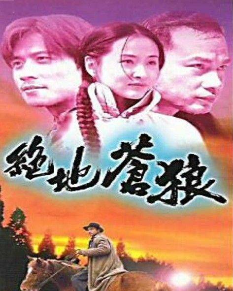 绝地苍狼（1998年张千文执导的动作剧）