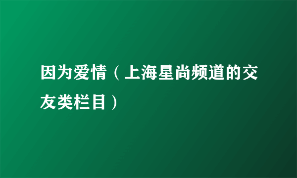 因为爱情（上海星尚频道的交友类栏目）