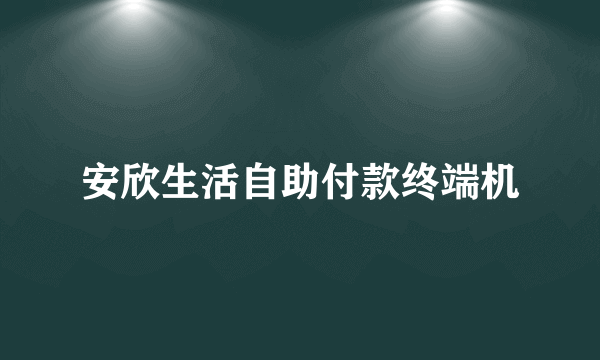 安欣生活自助付款终端机