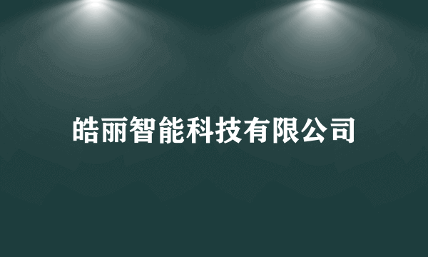 皓丽智能科技有限公司