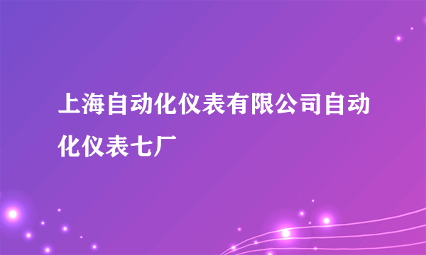 上海自动化仪表有限公司自动化仪表七厂