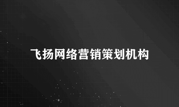 飞扬网络营销策划机构