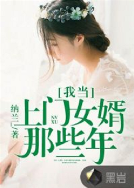 我当上门女婿那些年（纳兰_创作的社会类网络小说）