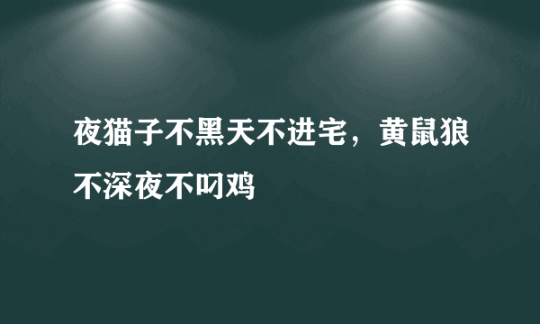 夜猫子不黑天不进宅，黄鼠狼不深夜不叼鸡