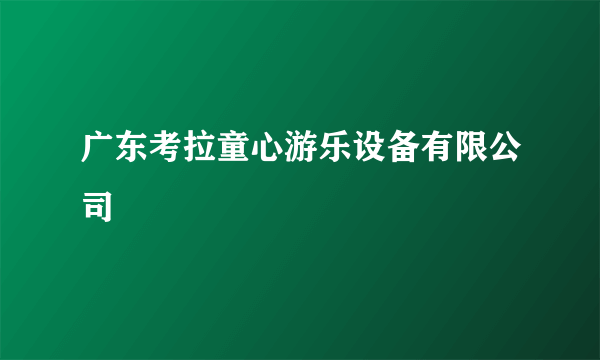 广东考拉童心游乐设备有限公司