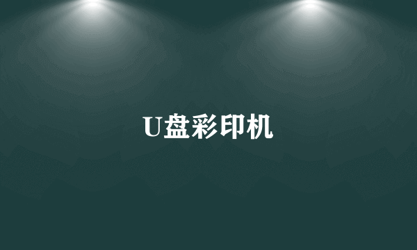 U盘彩印机