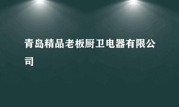 青岛精品老板厨卫电器有限公司