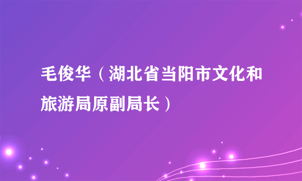 毛俊华（湖北省当阳市文化和旅游局原副局长）