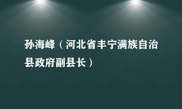 孙海峰（河北省丰宁满族自治县政府副县长）