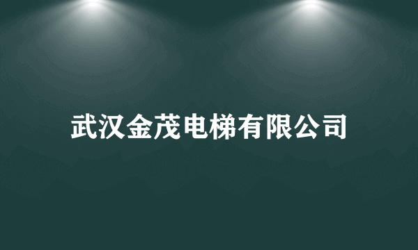 武汉金茂电梯有限公司