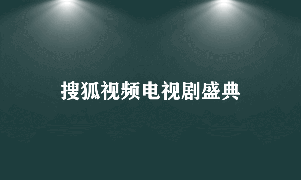 搜狐视频电视剧盛典