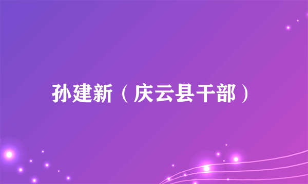 孙建新（庆云县干部）