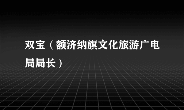 双宝（额济纳旗文化旅游广电局局长）