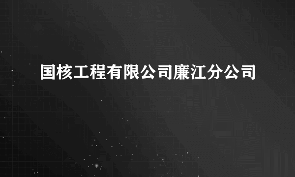 国核工程有限公司廉江分公司