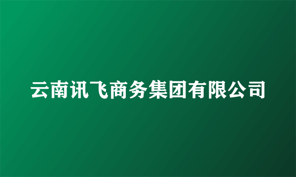 云南讯飞商务集团有限公司