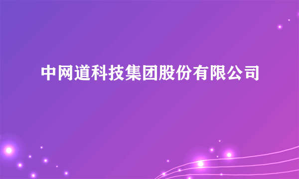 中网道科技集团股份有限公司