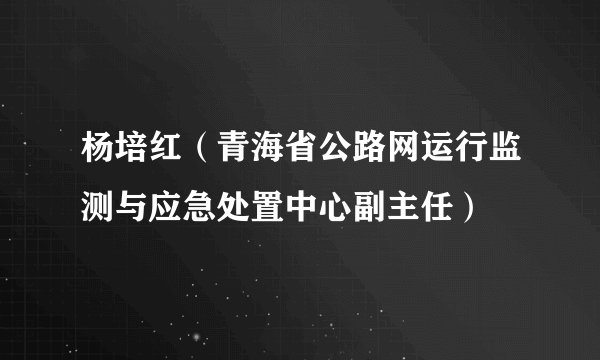 杨培红（青海省公路网运行监测与应急处置中心副主任）