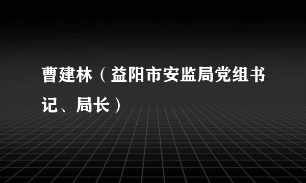 曹建林（益阳市安监局党组书记、局长）