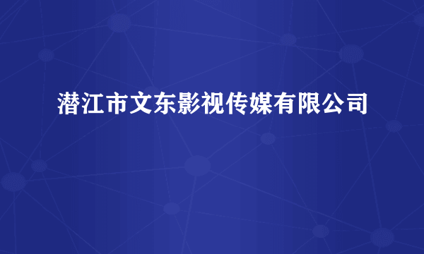 潜江市文东影视传媒有限公司