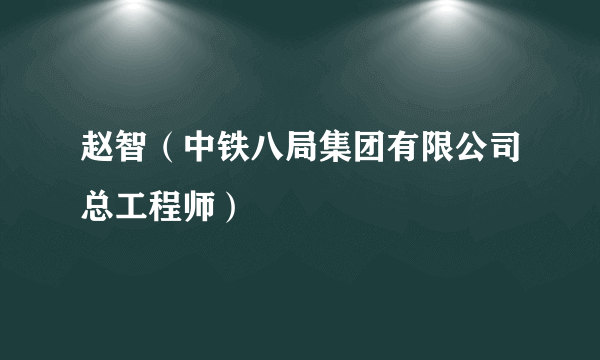 赵智（中铁八局集团有限公司总工程师）