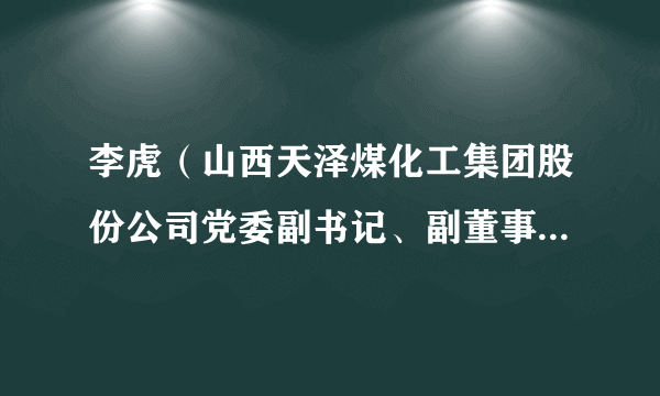 李虎（山西天泽煤化工集团股份公司党委副书记、副董事长、副总经理）