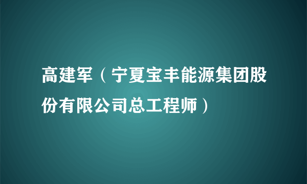 高建军（宁夏宝丰能源集团股份有限公司总工程师）