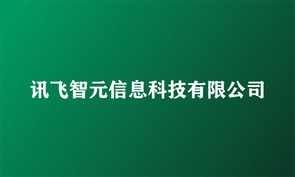 讯飞智元信息科技有限公司