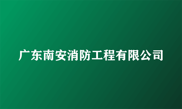 广东南安消防工程有限公司