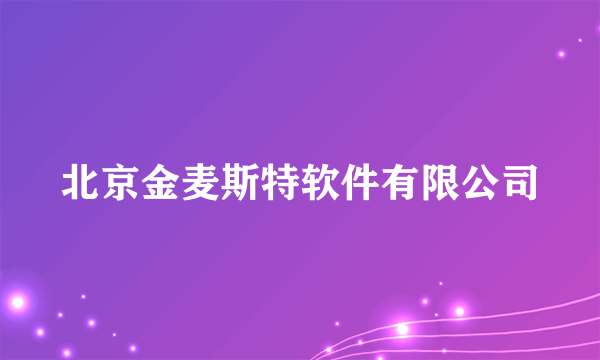 北京金麦斯特软件有限公司