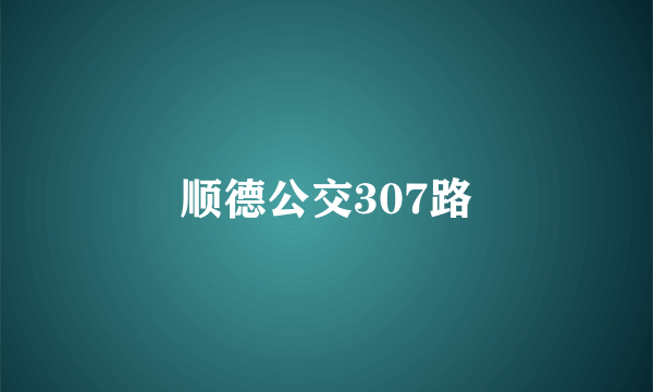 顺德公交307路