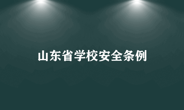 山东省学校安全条例