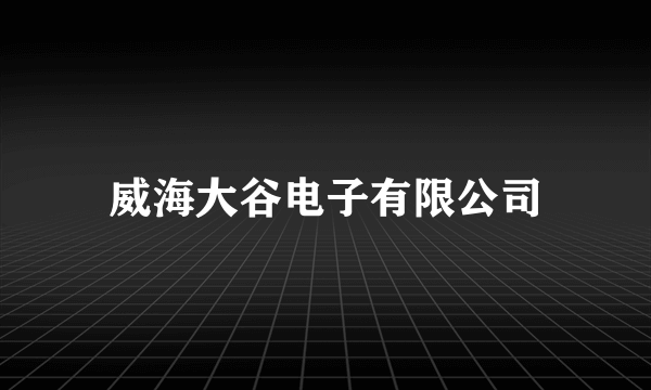 威海大谷电子有限公司