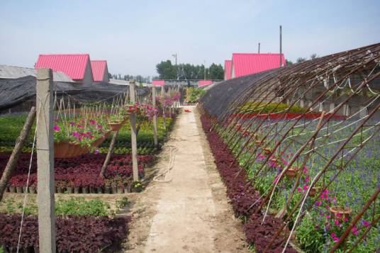 花园村（北京市怀柔区杨宋镇下辖村）